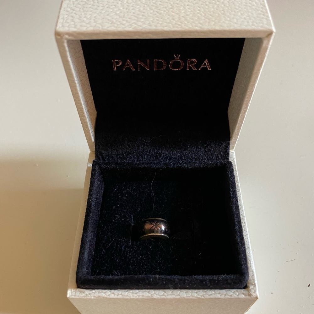 Pandora Spacer Charm